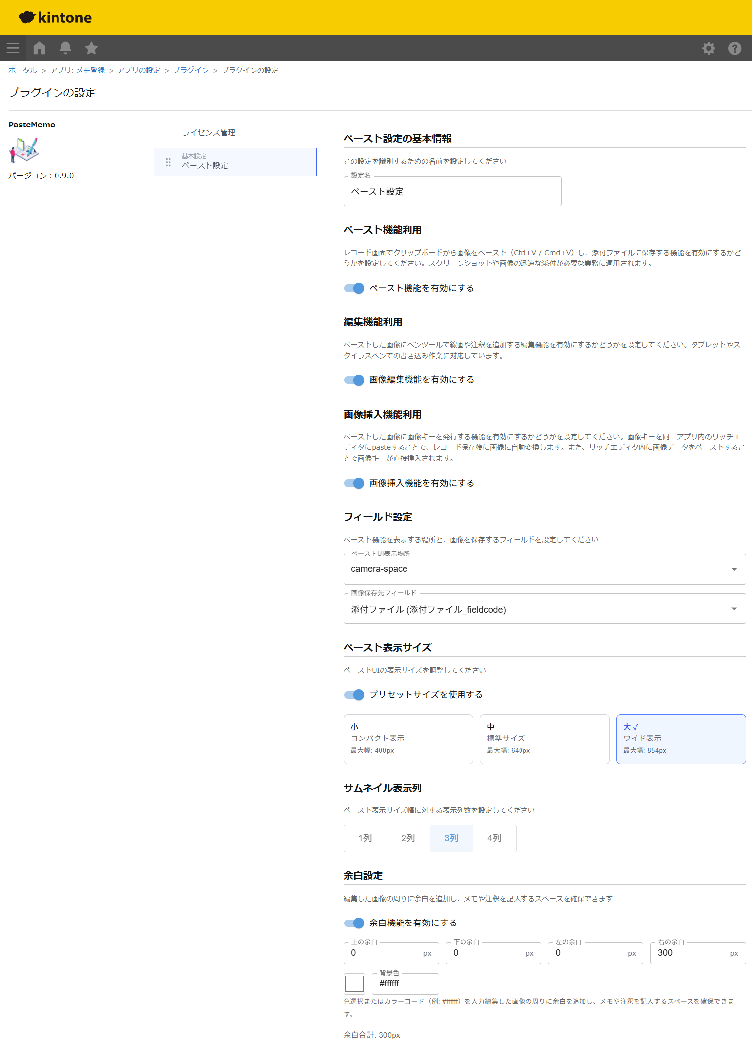 PasteMemo - プラグイン設定画面 - ペースト機能設定、保存先、リッチエディタ連携